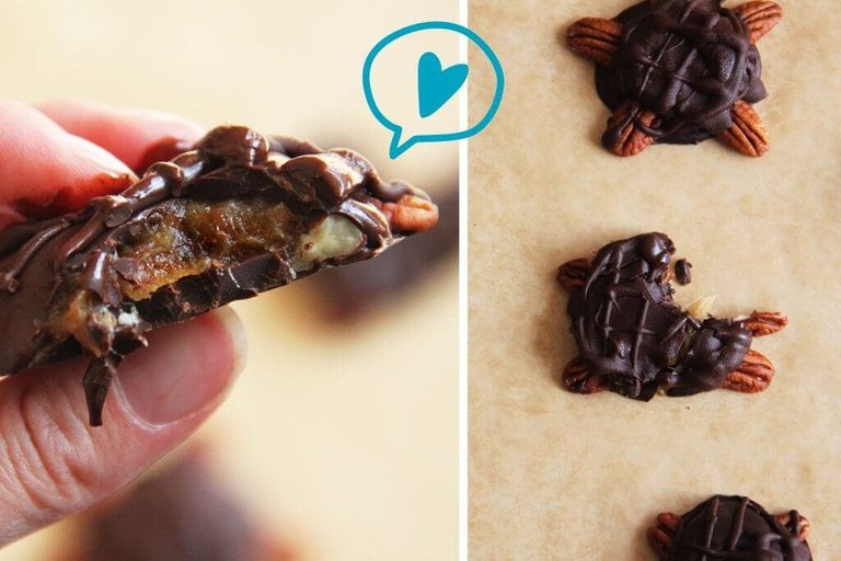 choco schildpad